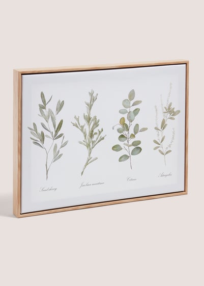 Herb Wall Art