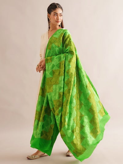 LOV KUSH Women Green Chiffon Phulkari Embroidered Dupatta