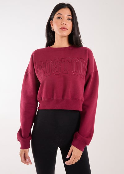 Pink Vanilla Burgundy Boston Silk Detail Crop Sweater