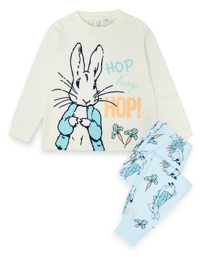 Peter Rabbit Kids Blue Print Pyjamas (12 Months - 4 Years)