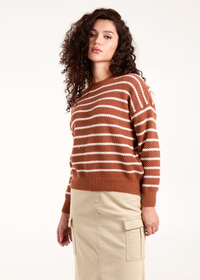 Blue Vanilla Brown Textured Stripe Jumper