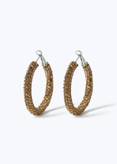 Muse Bronze Hoop Earring