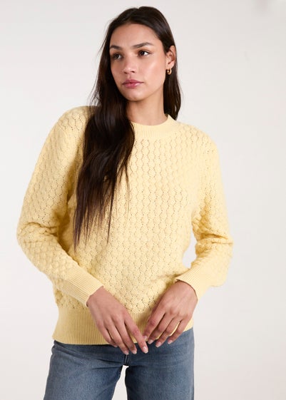 Blue Vanilla Lemon Textured Knit Jumper