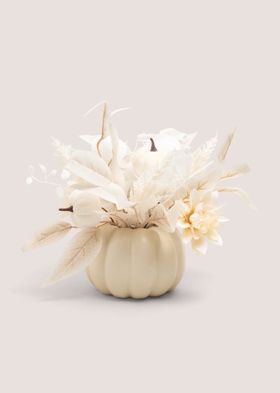 Pumpkin Pot Plant