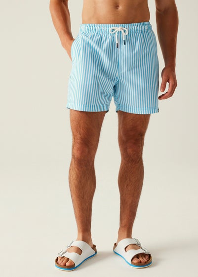 Regatta Aquarius Blue Stripe Loras Swim Shorts
