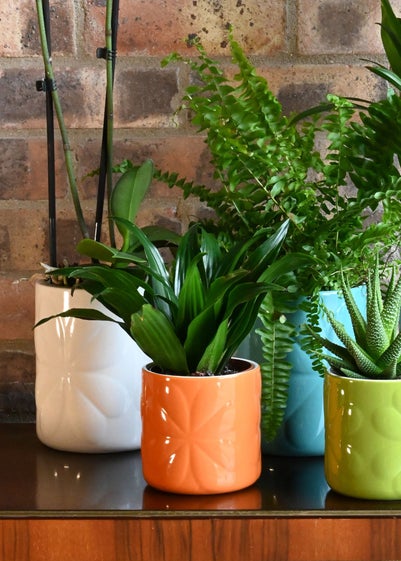 Beau & Elliot Orange Carnaby Porcelain Embossed Pot Small
