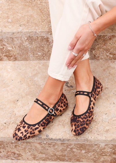 Linzi Graceful Leopard Print Ballet Pumps