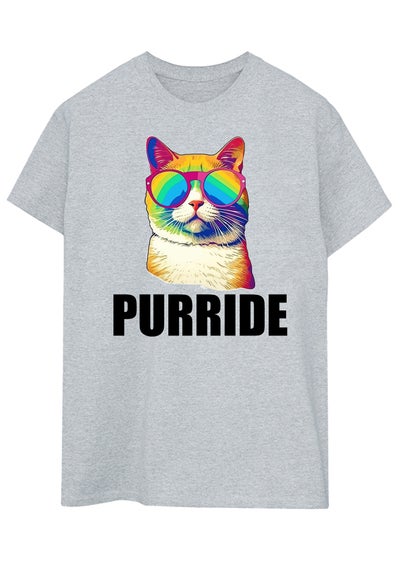 Brands In Cat Pride Purride Grey Boyfriend Fit Graphic T-Shirt