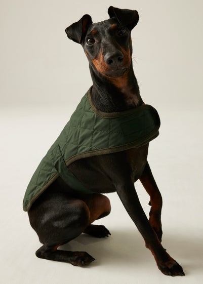 Regatta Khaki Pet's Odie Waterproof Dog Coat