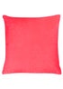 Candy Pink
