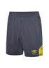 Grey/Yellow