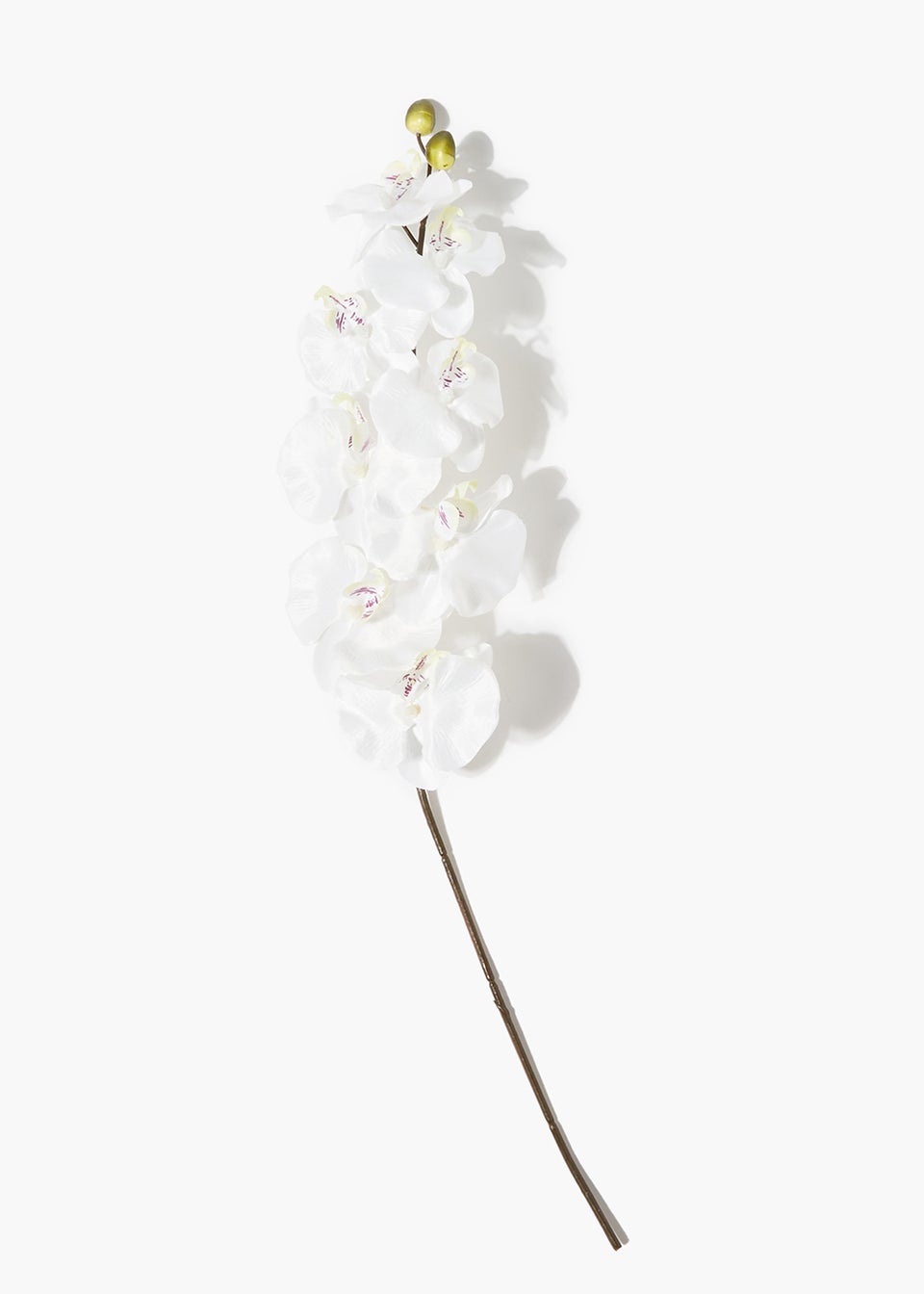 White Orchid Single Stem (70cm)