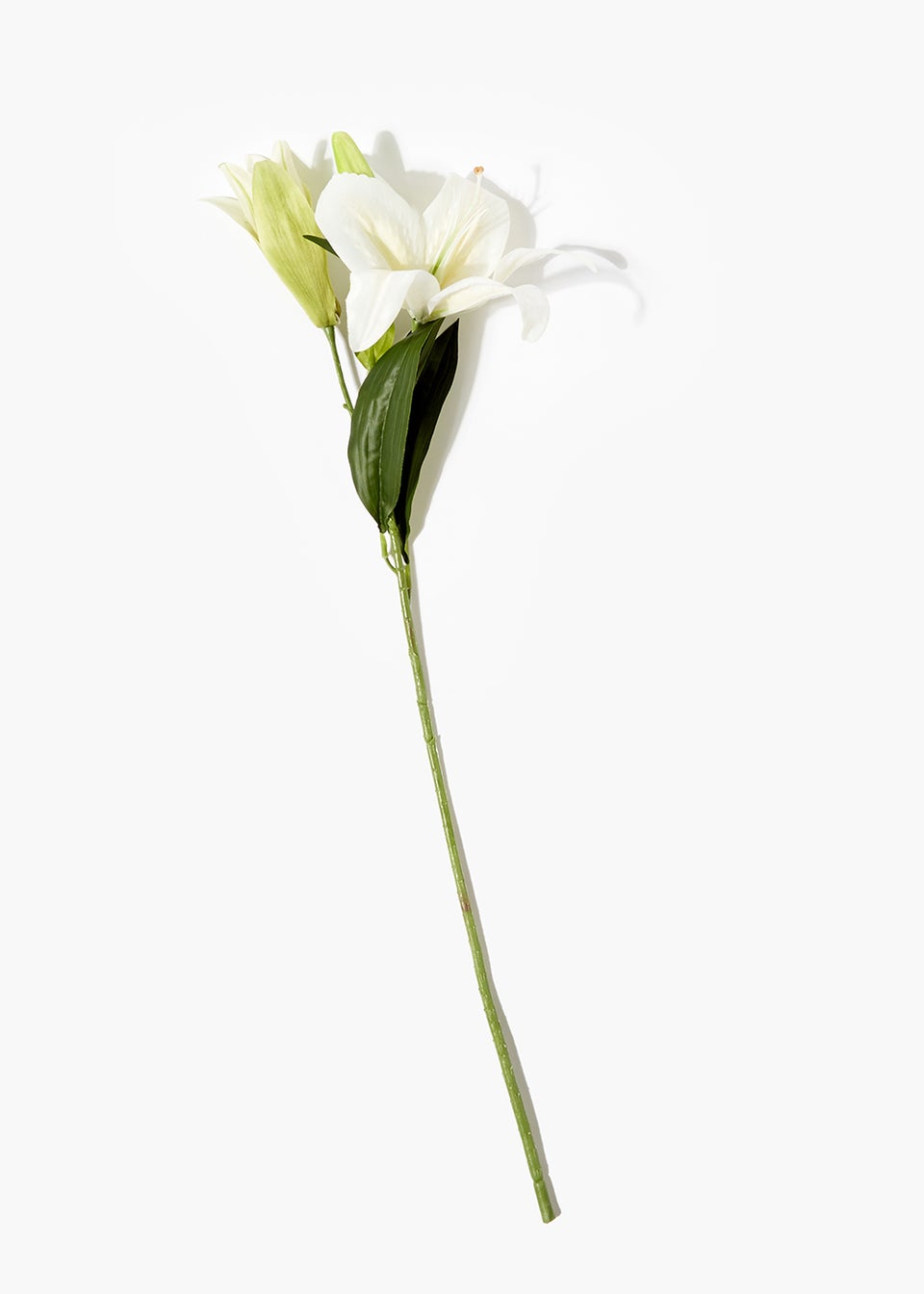 White Lily Single Stem (72cm)