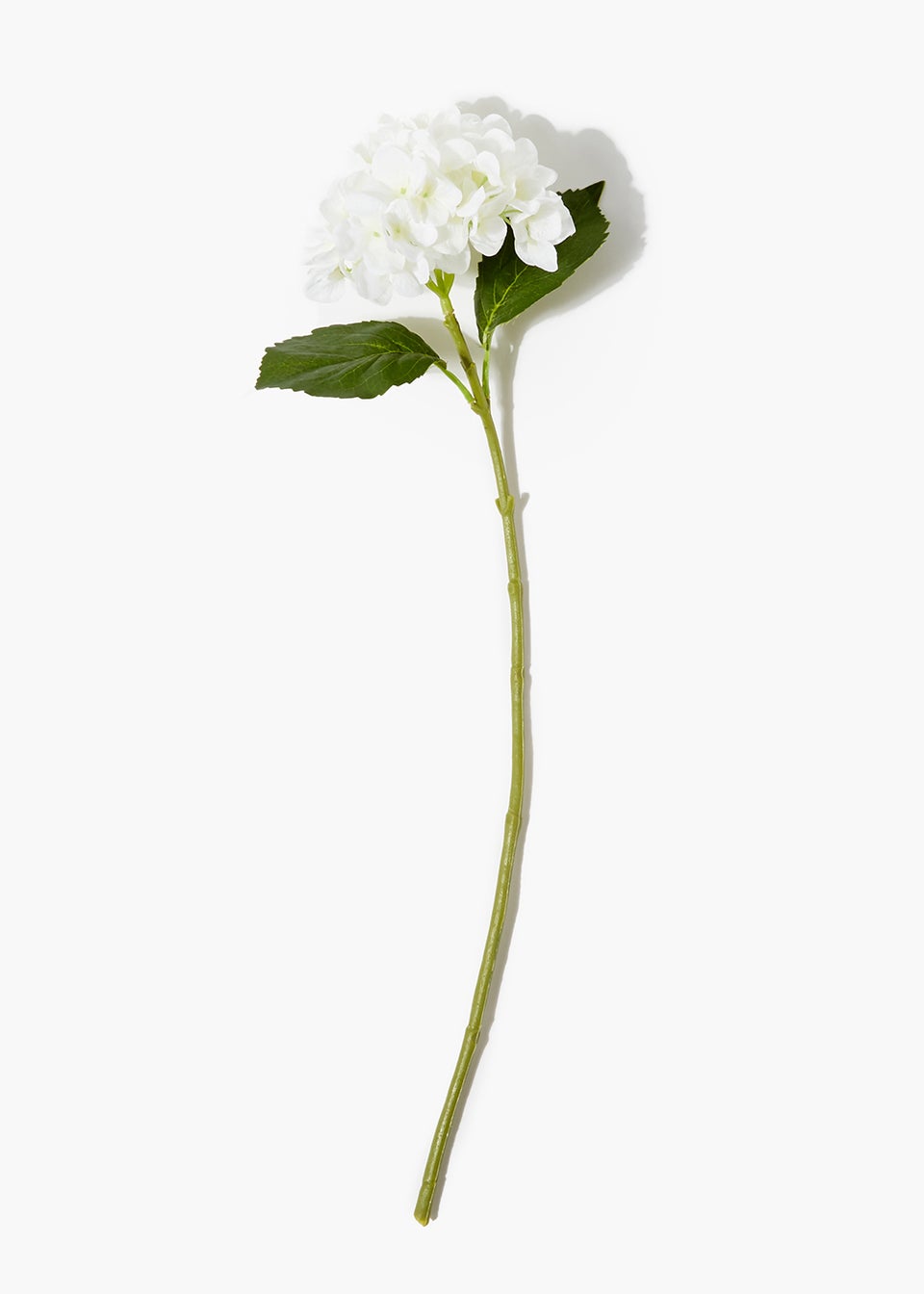 White Hydrangea Single Stem (70cm)