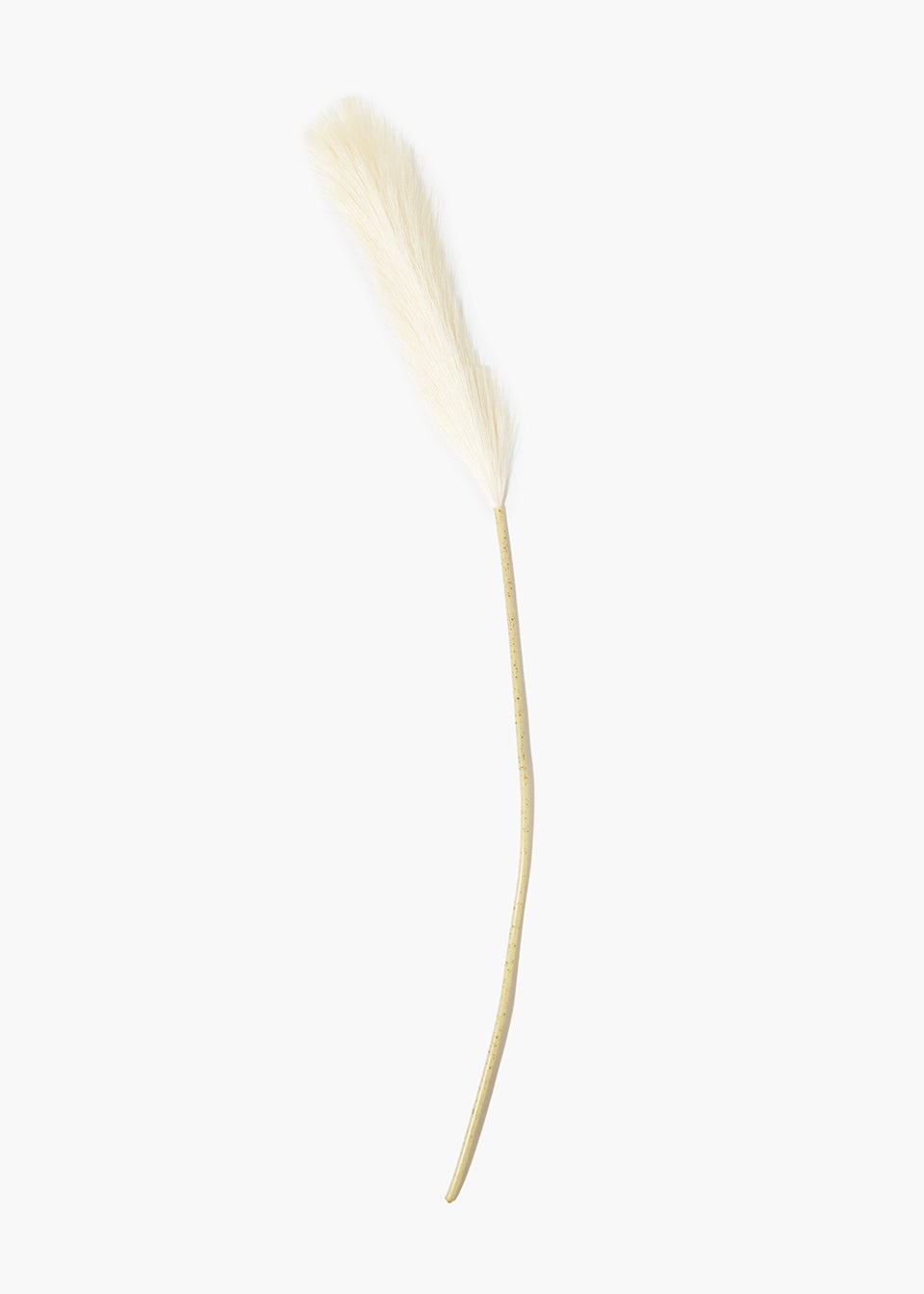 Cream Pampas Grass Single Stem (85cm)