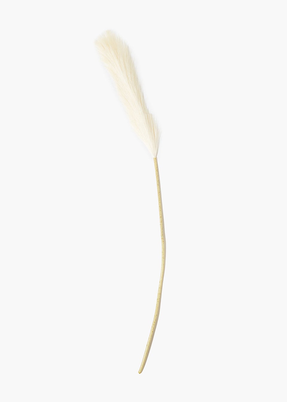 Cream Pampas Grass Single Stem