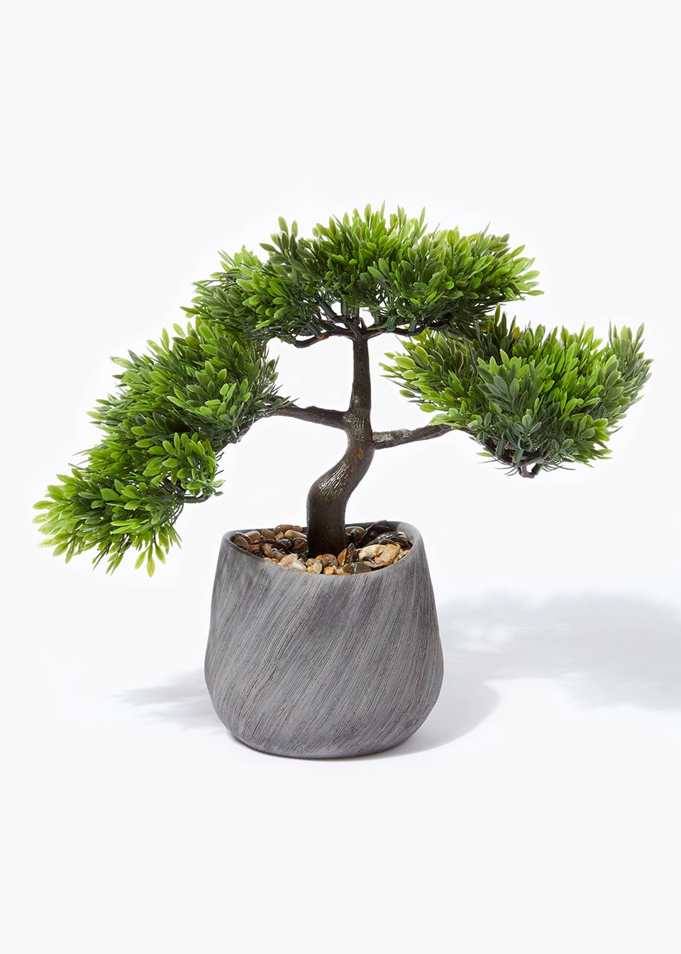 Bonsai Tree (25cm x 40cm)