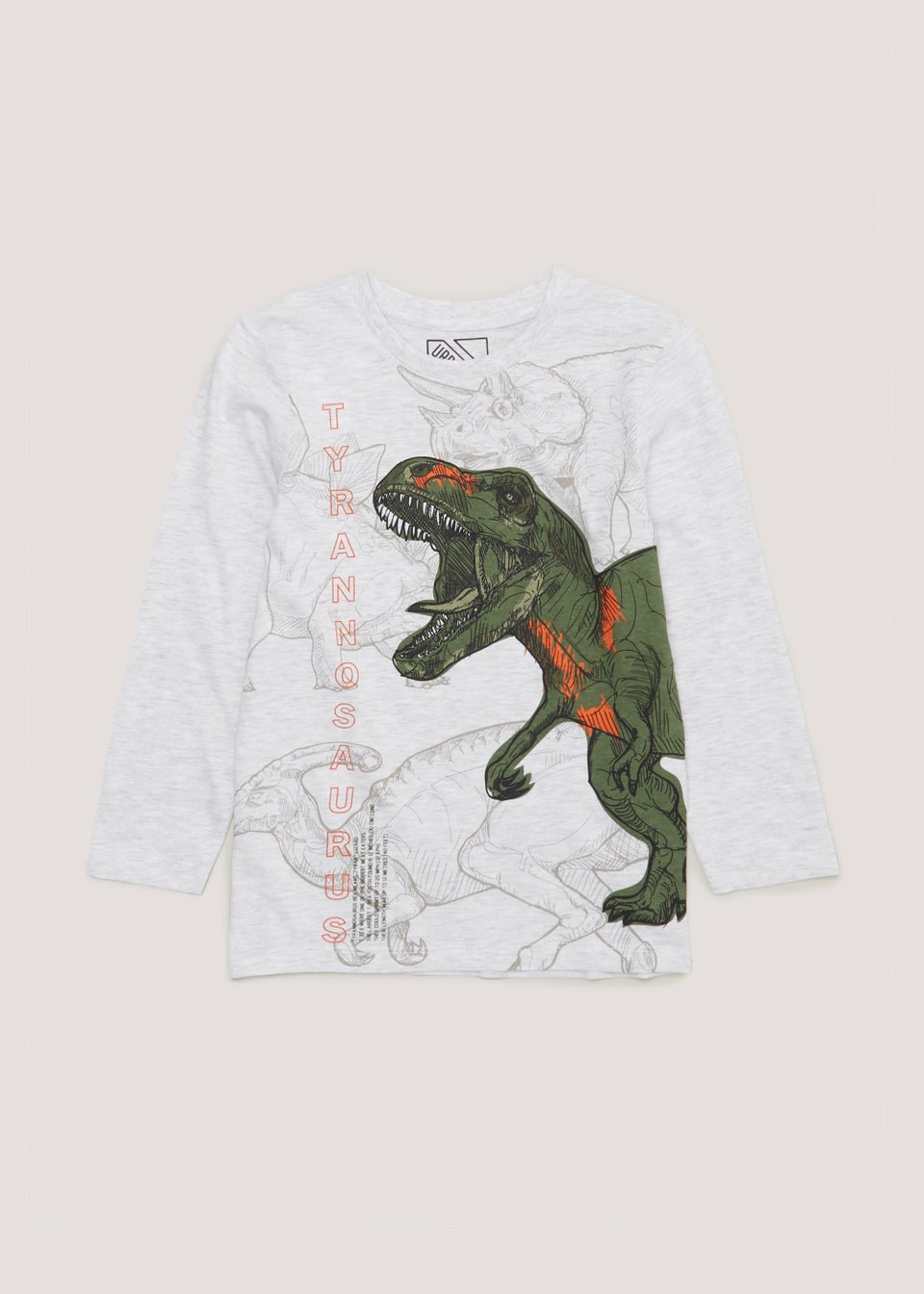 Kids Grey Dinosaur Long Sleeve T-Shirt (4-13yrs)