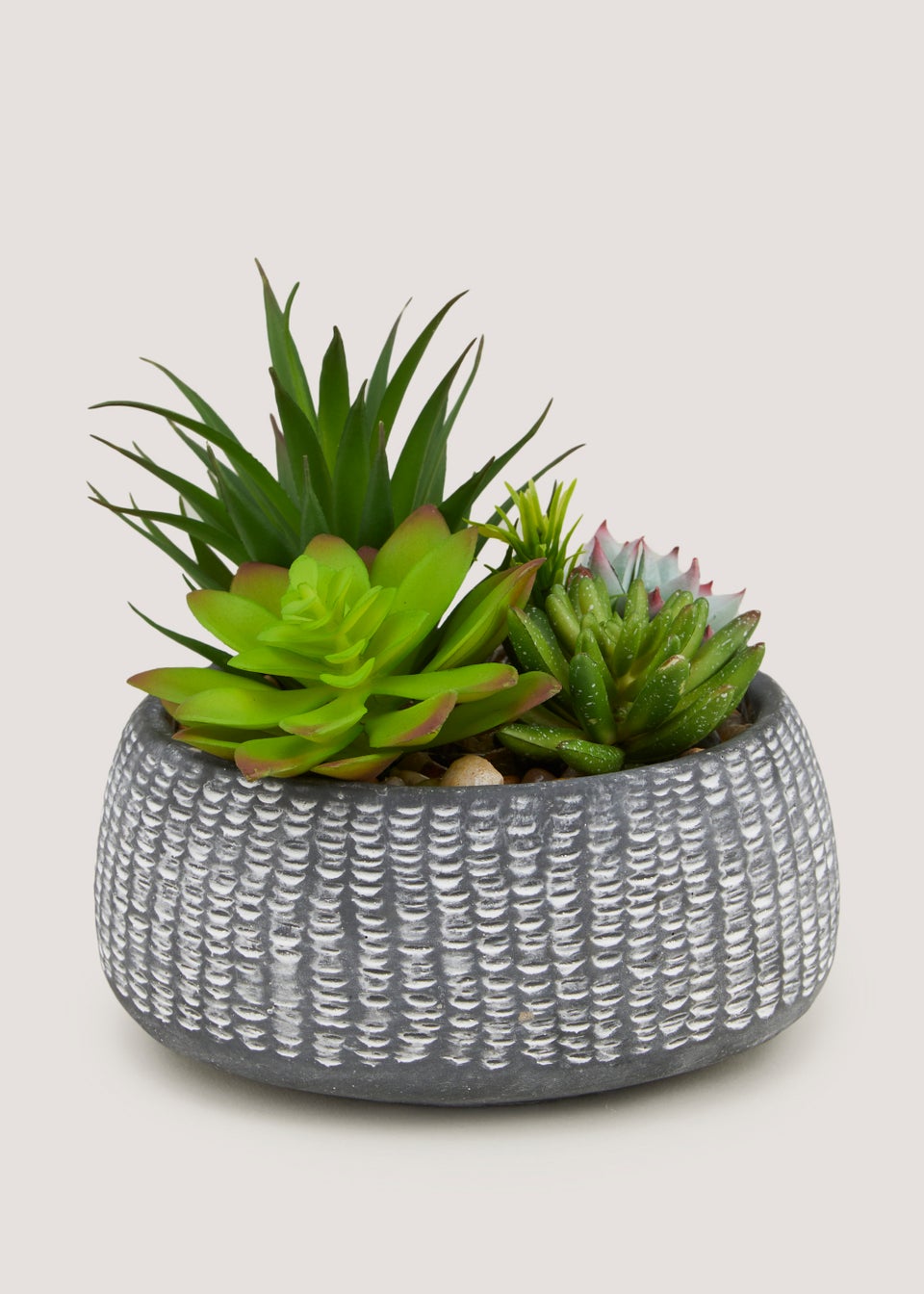 Succulents in Bowl (30cm)