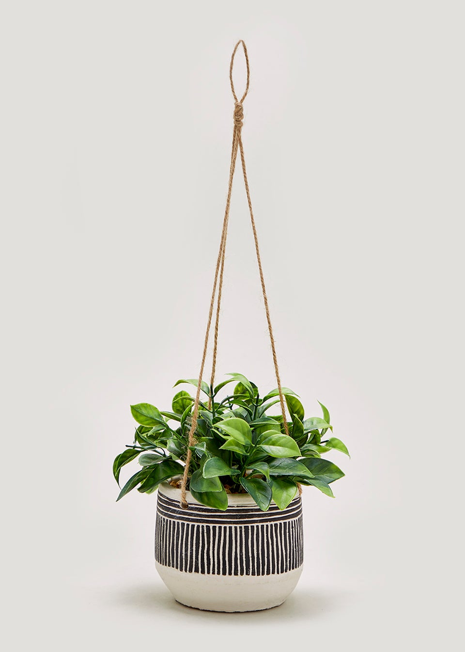 Hanging Plant in Pot (18cm)