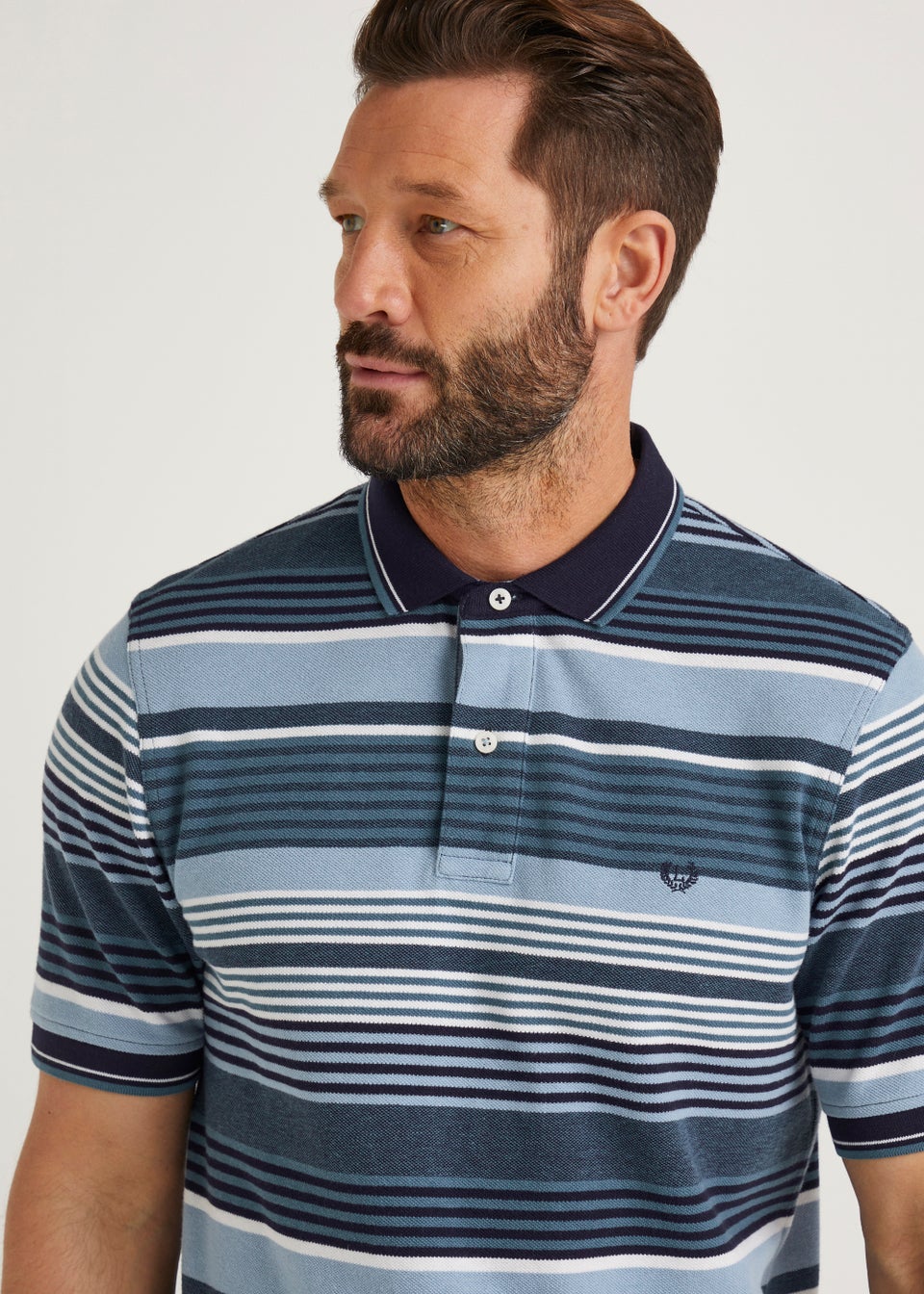 Lincoln Blue Stripe Polo Shirt