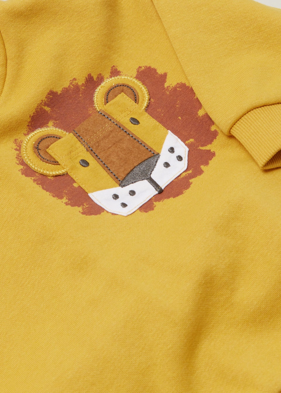 Lion hoodie discount toddler