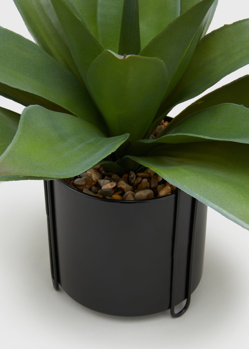 Agave in Metal Pot (17cm x 14cm)