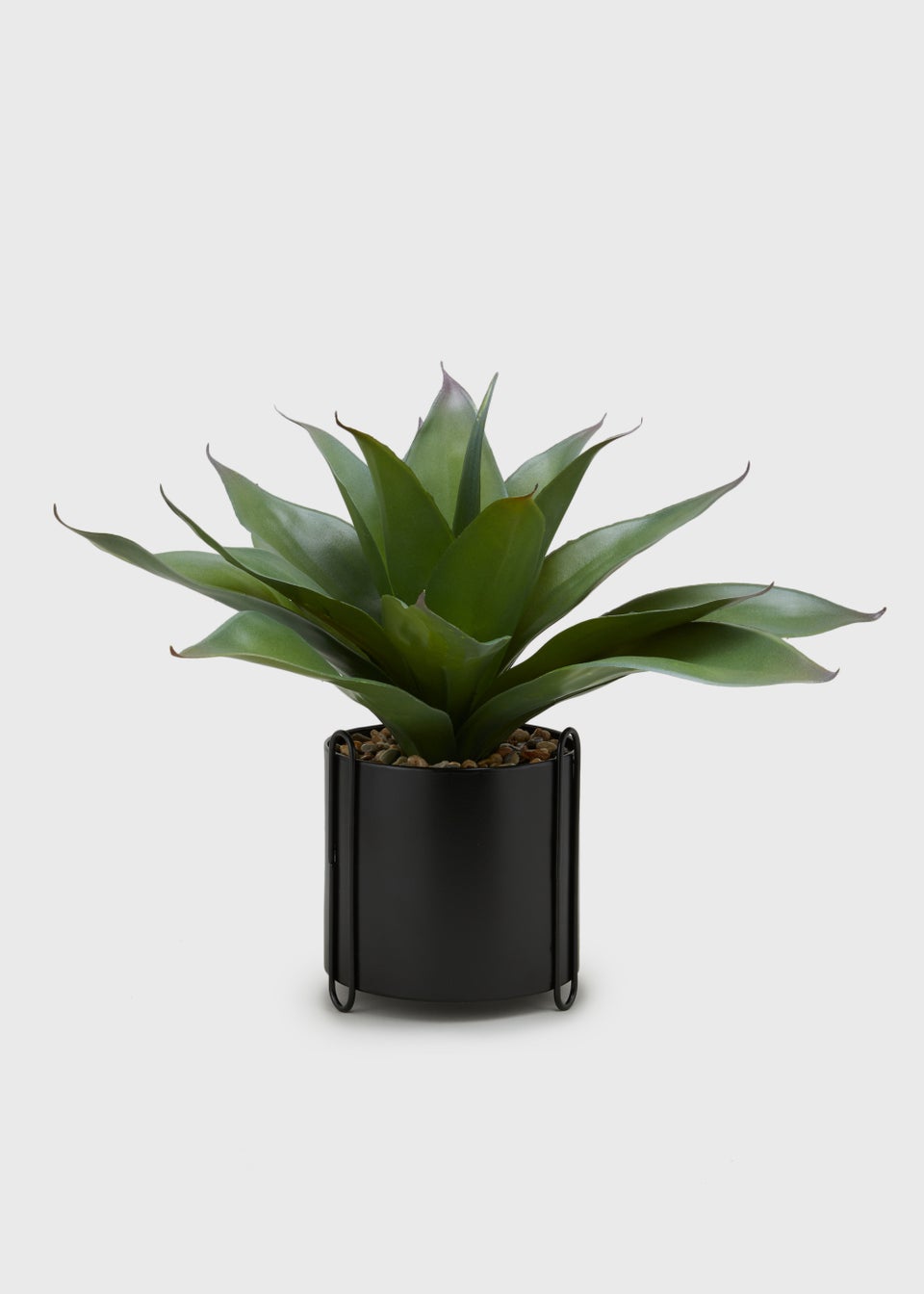 Agave in Metal Pot (17cm x 14cm)