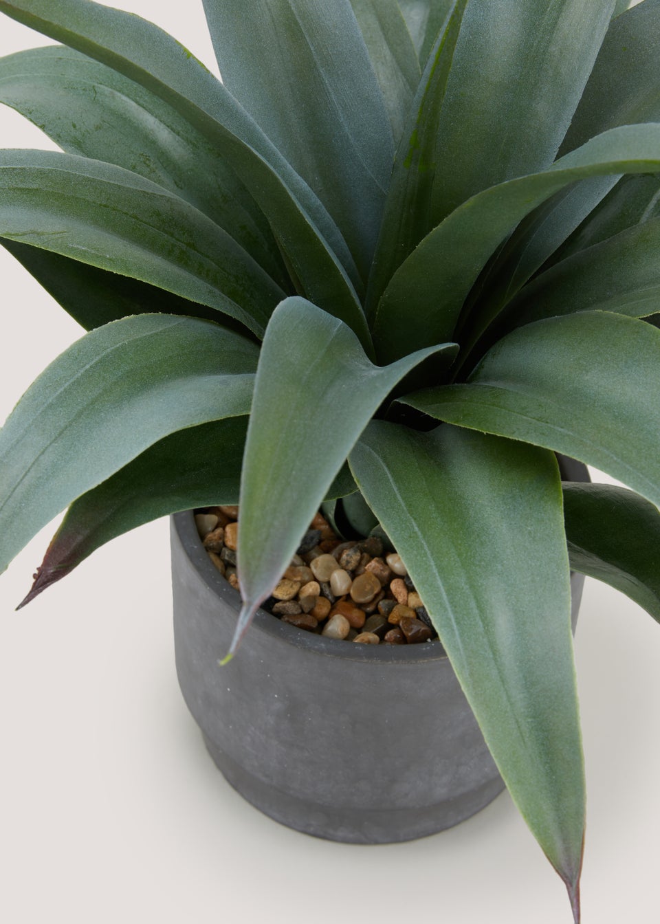 Plant in Cement Pot (35cm x 14cm) Matalan