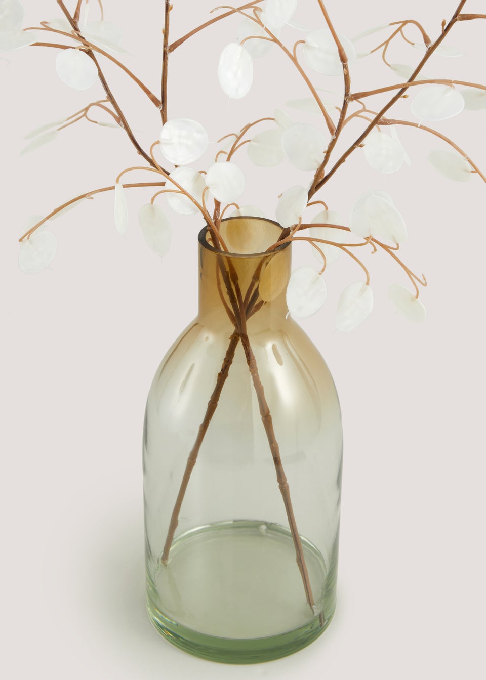 Honesty in Glass Vase (14cm x 14cm x 65cm)