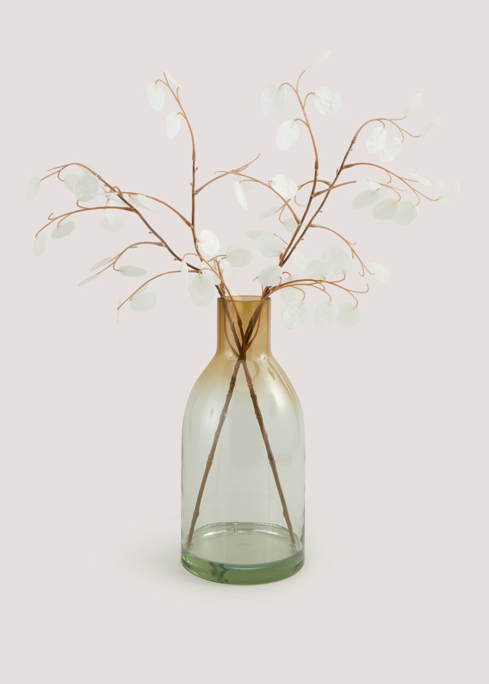Honesty in Glass Vase (14cm x 14cm x 65cm)