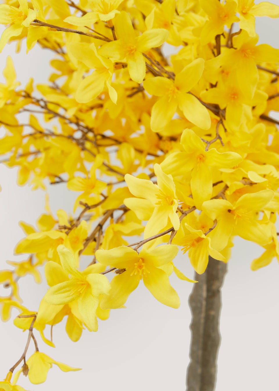 Yellow Forsythia Outdoor Tree (35cm x 35cm x 90cm)