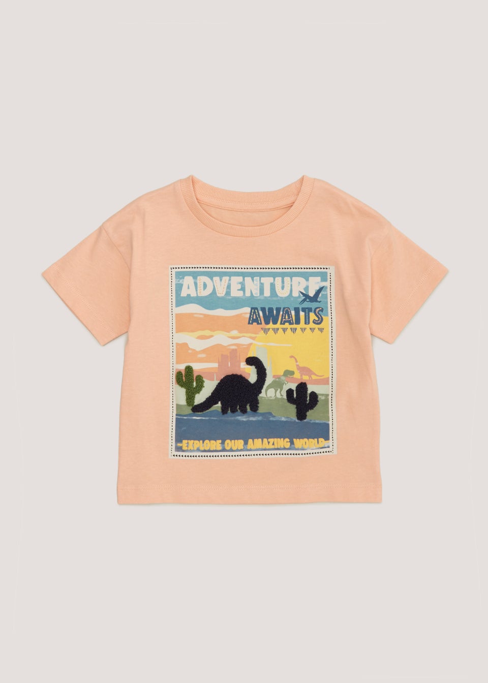 Boys Coral Dinosaur T-Shirt (9mths-6yrs) - Matalan