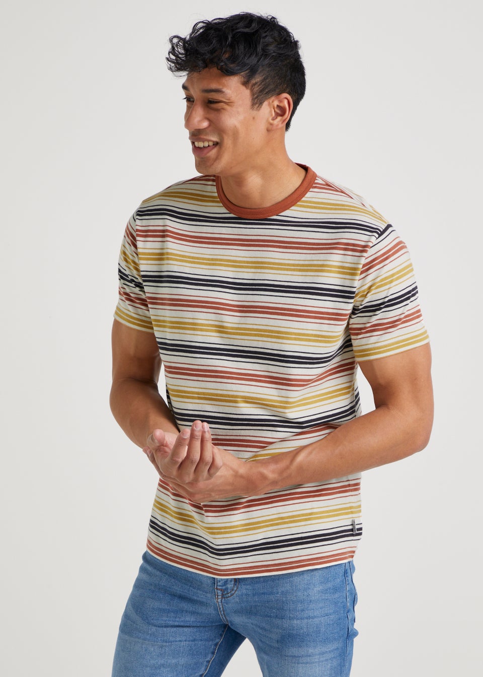 Multicoloured Stripe Ringer T-Shirt