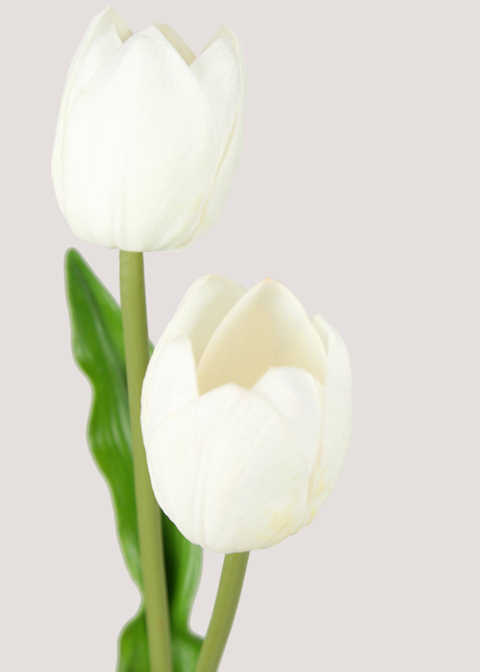 White Tulip Single Stem (66cm)