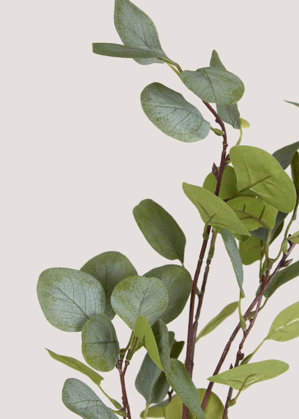 Leafy Plant in White Ribbed Pot (58cm x 9.5cm)