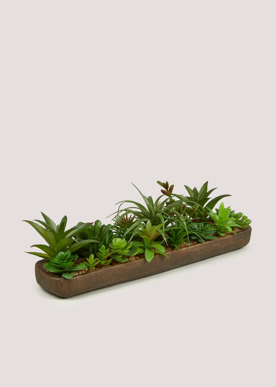 Succulents in Wood Effect Tray (55cm x 5cm x 7cm)