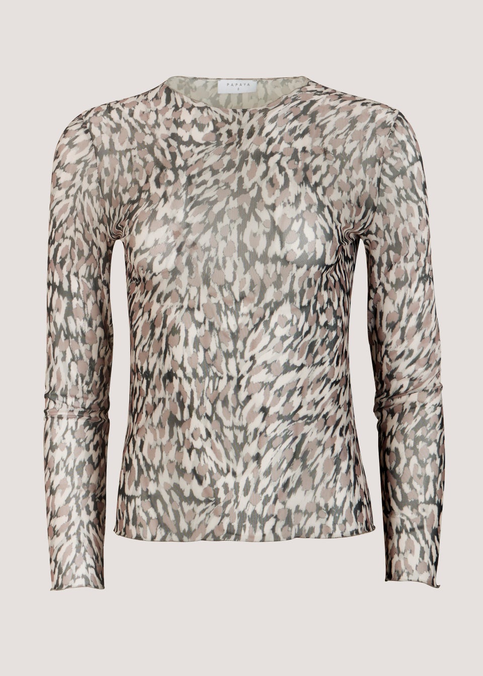 Beige Long Sleeve Mesh Top