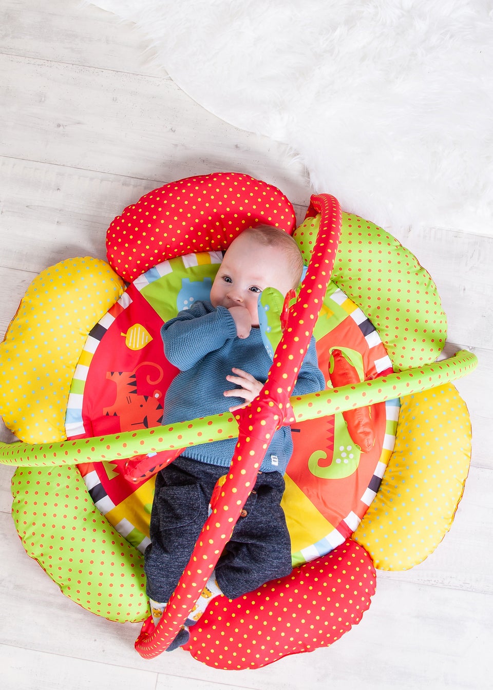 Red Kite Safari Play Gym (50cm x 78cm x 78cm)