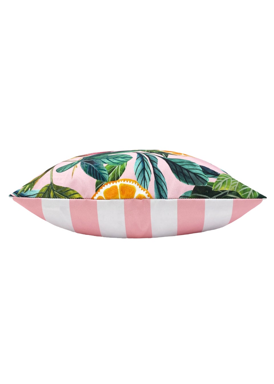 Evans Lichfield Citrus Outdoor Filled Cushion (43cm x 43cm x 8cm)