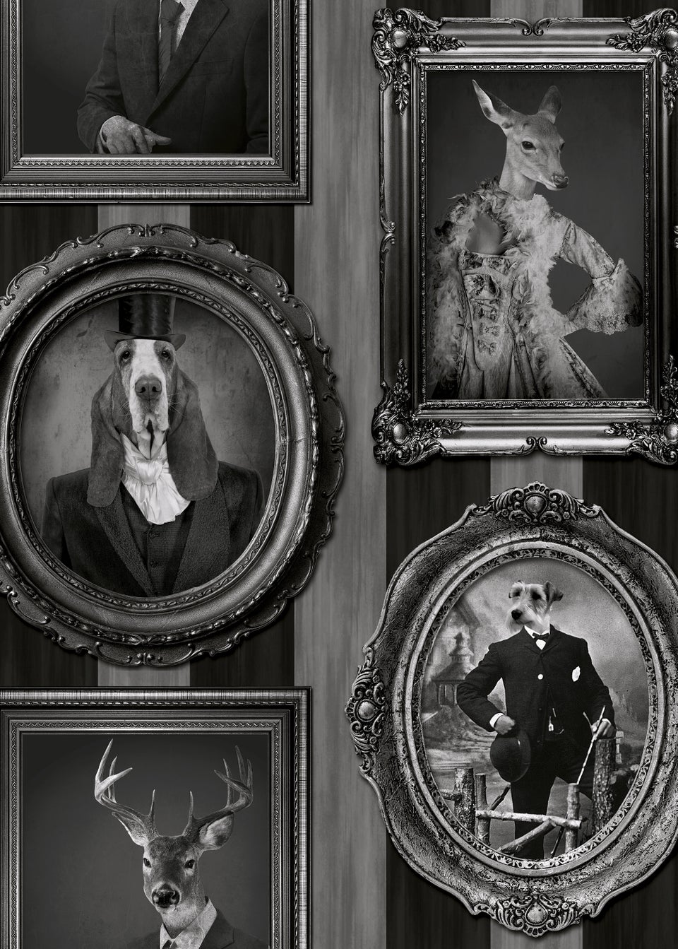 Muriva Dogs in Frames Wallpaper