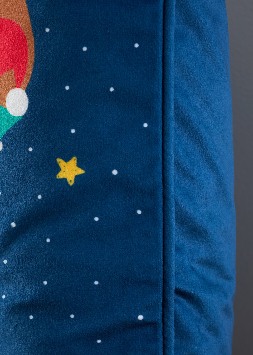 Catherine Lansfield Santa's Christmas Wonderland Cushion (45x45cm)