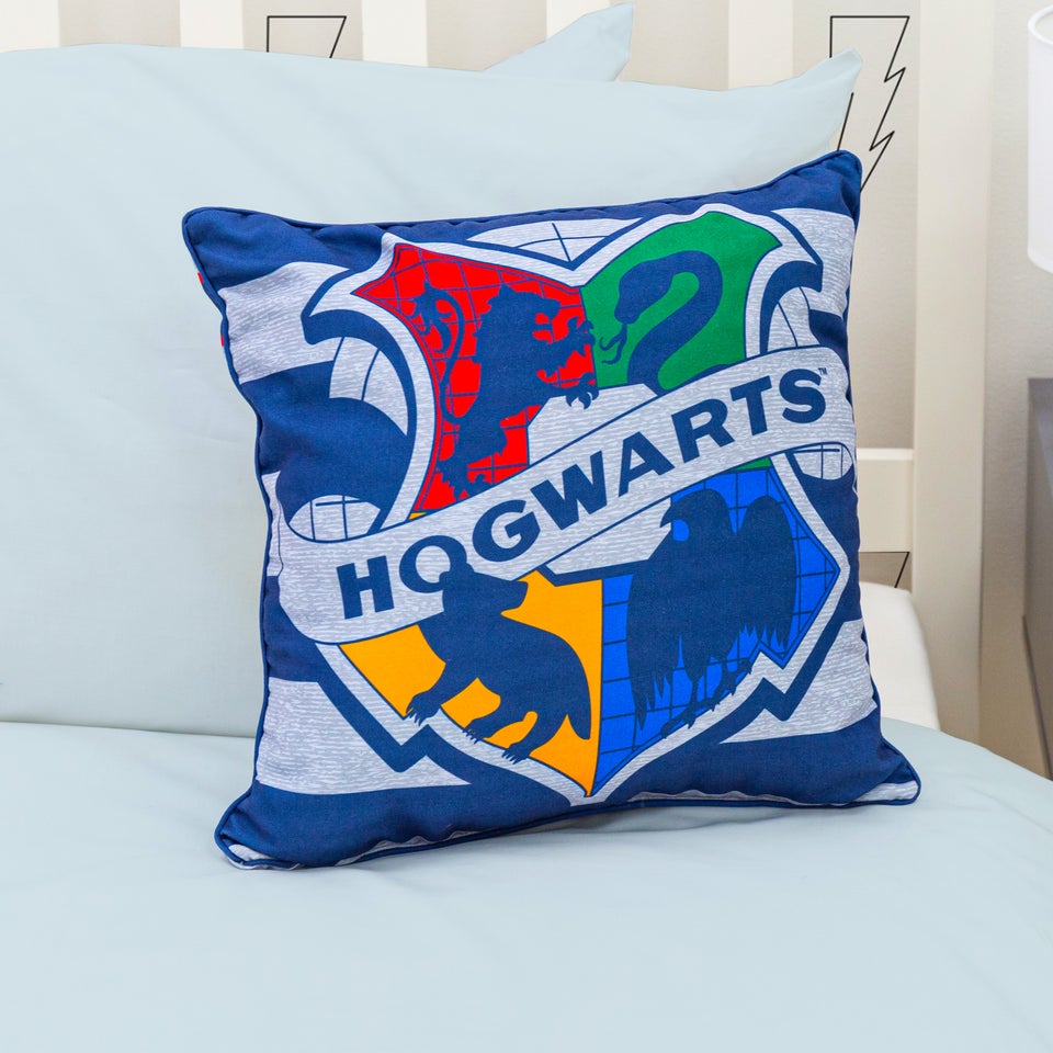 Harry Potter Brave Square Cushion