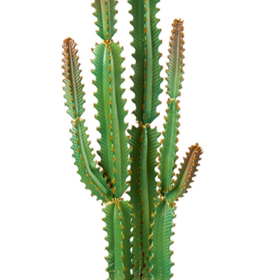 Premier Decorations Artificial Potted Cereus Cactus 101cm