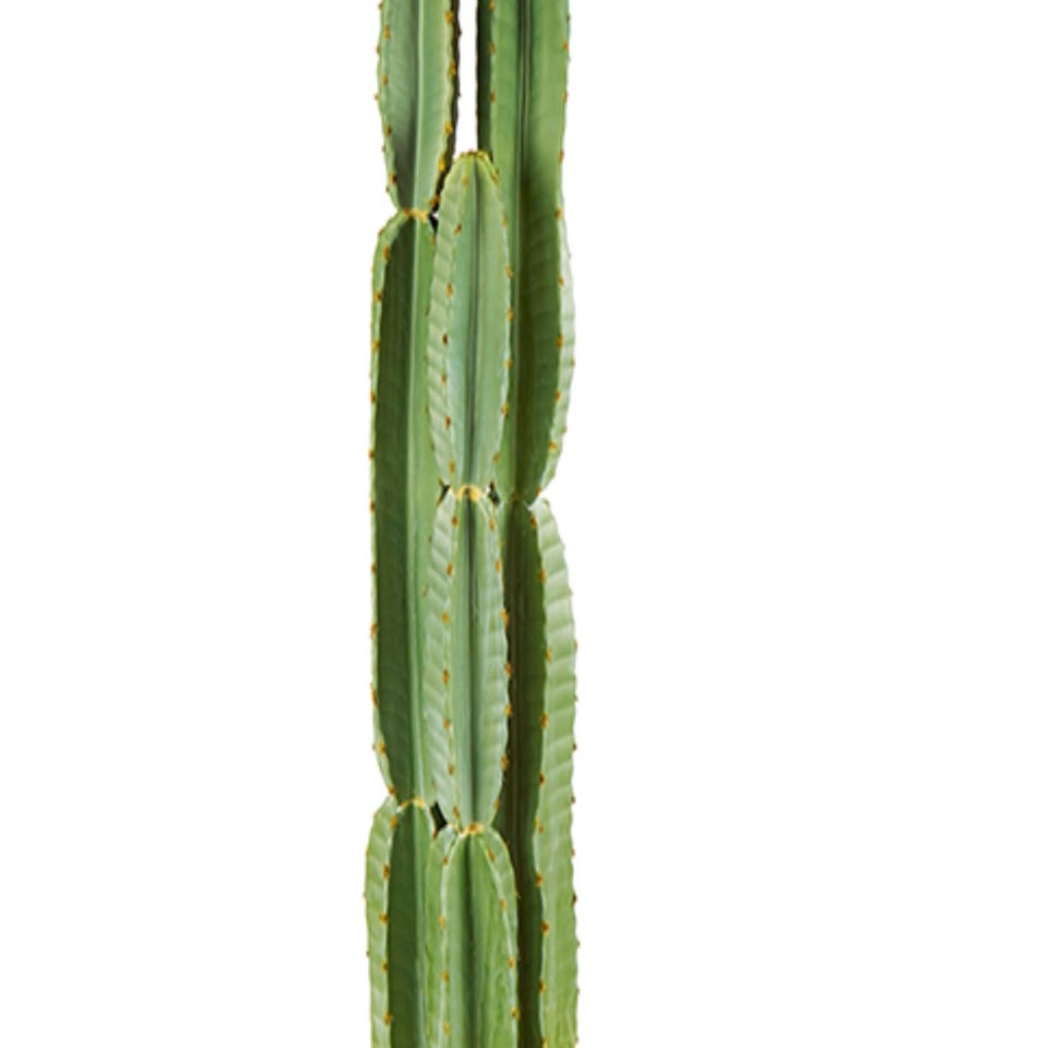Premier Decorations Artificial Potted Cereus Cactus 118cm