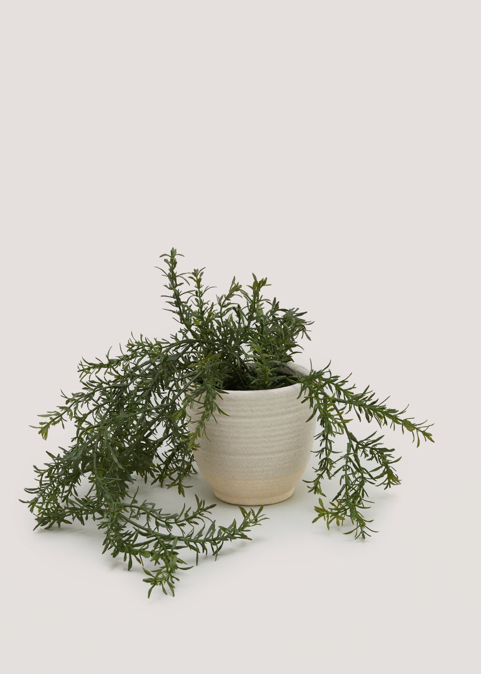 Trailing Herb in Ceramic Pot (9.5cm x 1cm)