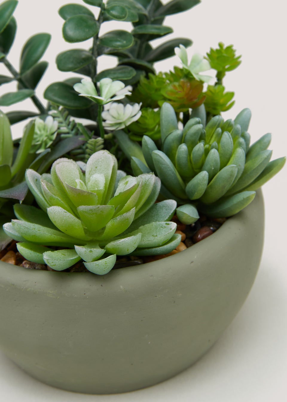 Succulents in Round Cement Bowl (8cm x 12cm)
