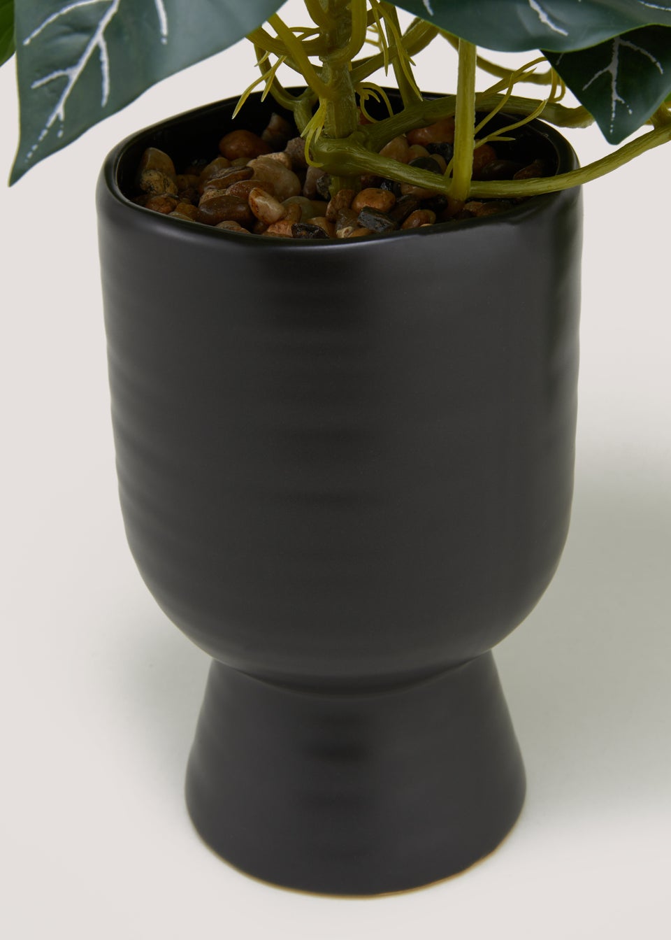 Trailing Plant in Tall Rounded Pot (33cm x 10cm)