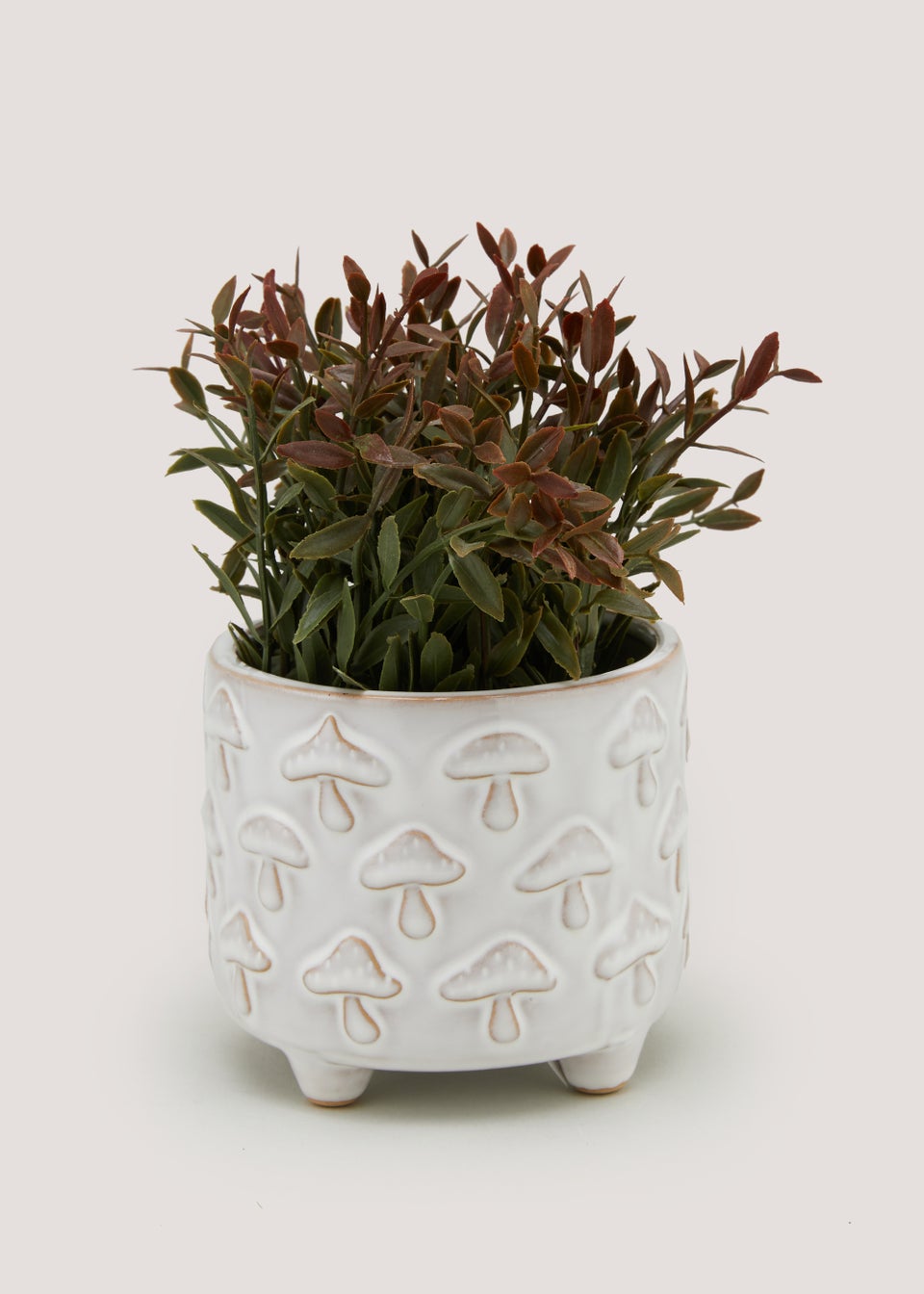 Plant in Mushroom Pot (20cm x 16cm)