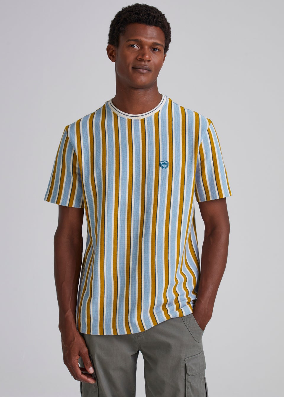 Brown Stripe Textured T-Shirt